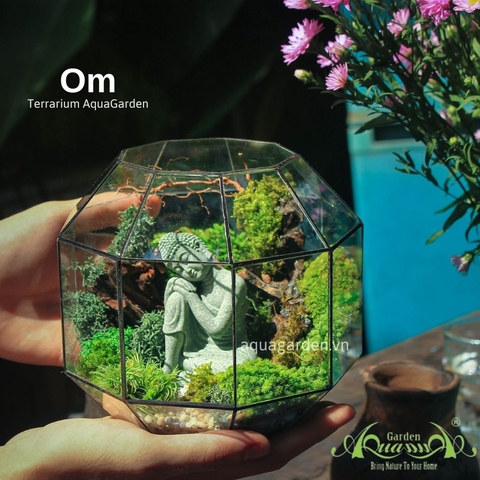 Terrarium 01 - OM