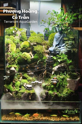 Terrarium 86 - Phượng Hoàng Cổ Trấn