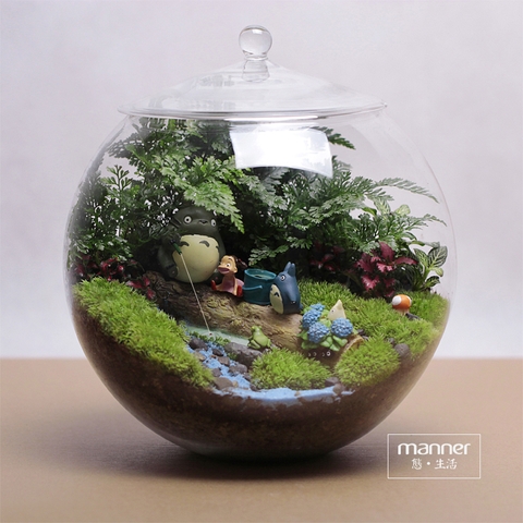 Terrarium 300 - Dạo chơi cùng Totoro