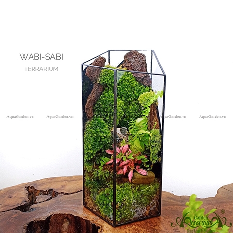 Terrarium 102 - Wabi-sabi