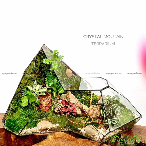 Terrarium 108 - Crystal Mountain