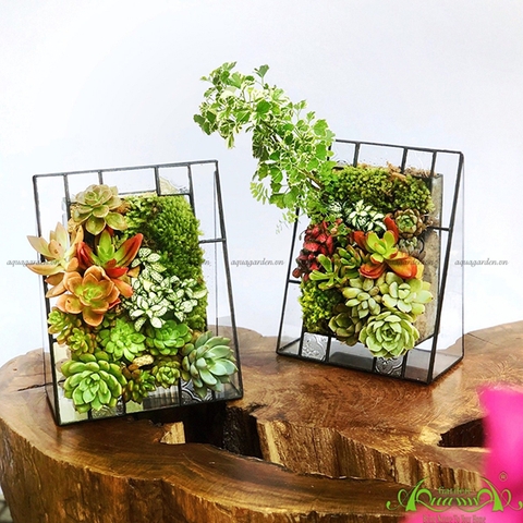 Terrarium 03 - Bức Tranh Thiên Nhiên