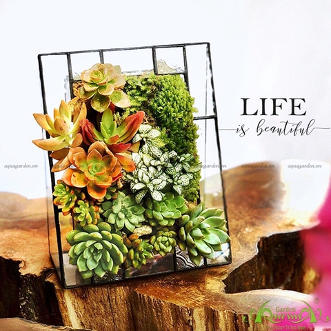 Terrarium 04 -  LIFE is beautiful