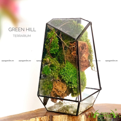 Terrarium 90 - Green Hill