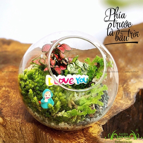 Terrarium 02 - Phía Trước Là Bầu Trời