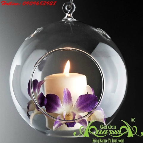 Cầu Tròn 3 Lỗ - Thủy Tinh Treo