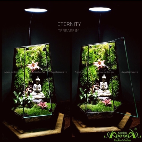 Terrarium 110 - Eternity