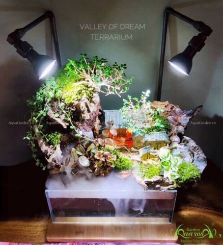 Terrarium 70 - Valley of Dream