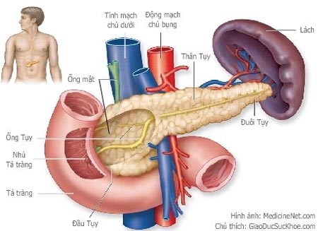 Bệnh tiểu đường