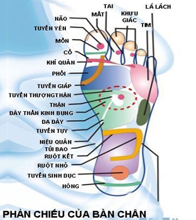 Đi giày da nam đúng cách để bảo vệ đôi chân 