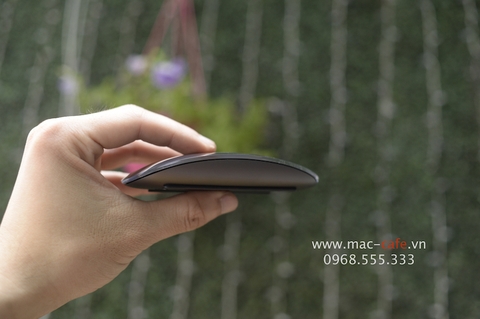 Magic Mouse 2 (Xám)