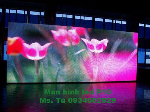 Màn hình led P10