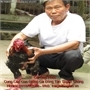 Tìm hiểu thương hiệu gà đông tảo Ông Phúc
