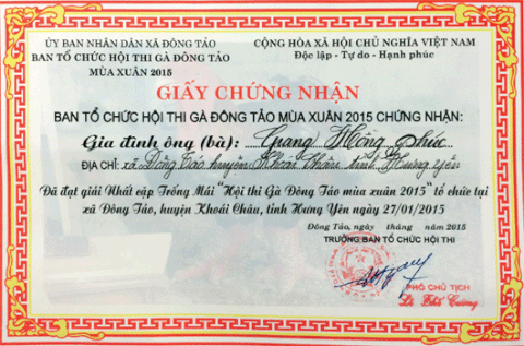 Bảo tồn phát triển nét truyền thống hội thi Gà Đông Tảo