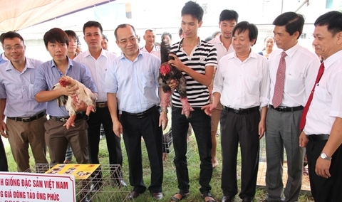 Quyết định cấp giấy chứng nhận nhãn hiệu tập thể Gà Đông Tảo - Công Ty TNHH Giống Đặc Sản Việt Nam