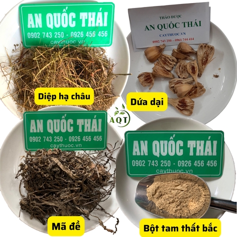 Thuốc nam trị xơ gan, viêm gan B,C: Bài thuốc hay, hiệu quả, địa chỉ bán uy tín.