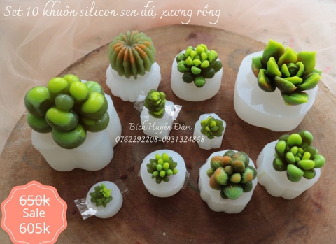 Set 10 khuôn silicon sen đá, xương rồng