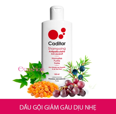 Dầu gội giảm gàu, làm dịu da đầu Caditar Shampoo Anti Dandruff Nomarlise 150ml