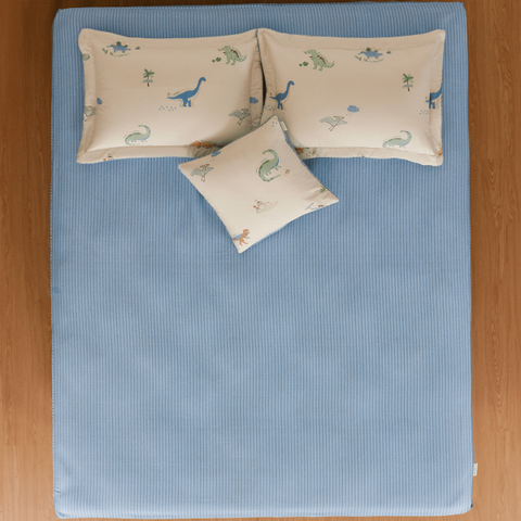 Bộ ga chun, gối tựa CPC26204