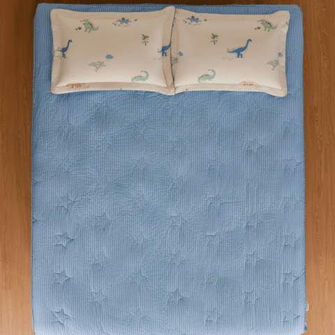 Bộ ga chun chần CPC26204