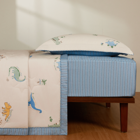 Bộ ga chun chần, chăn hè CPC26204