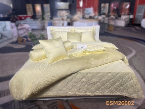 Bộ chăn ga Everon ESM 26002