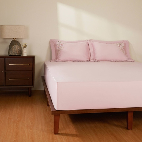 Bộ ga chun Everon ESM26004