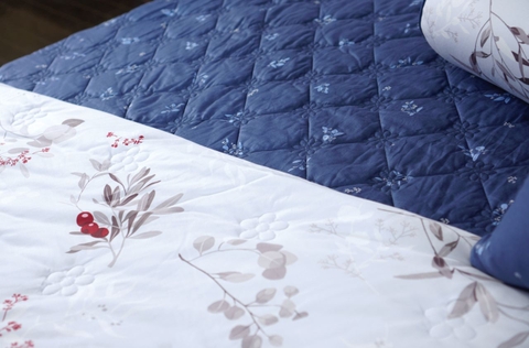 Bộ EPM 22061 đường chần ga