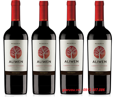 NHÀ PHÂN PHỐI VANG CHILE ALIWEN CABERNET SAUVIGNON GIÁ TỐT NHẤT NHÀ PHÂN PHỐI VANG CHILE ALIWEN CABERNET SAUVIGNON GIÁ TỐT NHẤT