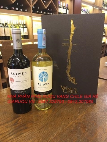 NHỮNG CHAI RƯỢU VANG CHILE ẤN TƯỢNG GIÁ RẺ TRÊN DƯỚI 100.000 Đ NHỮNG CHAI RƯỢU VANG CHILE ẤN TƯỢNG GIÁ RẺ TRÊN DƯỚI 100.000 Đ
