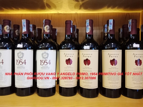 PHÂN PHỐI VANG Ý ANGELO PRIMO, 1954 PRIMITIVO GIÁ TỐT NHẤT TẠI VIỆT NAM PHÂN PHỐI VANG Ý ANGELO PRIMO, 1954 PRIMITIVO GIÁ TỐT NHẤT TẠI VIỆT NAM
