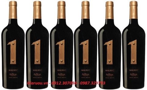 PHÂN PHỐI RƯỢU VANG ARGENTINA 1 MALBEC ANTIGAL GIÁ RẺ NHẤT PHÂN PHỐI RƯỢU VANG ARGENTINA 1 MALBEC ANTIGAL GIÁ RẺ NHẤT