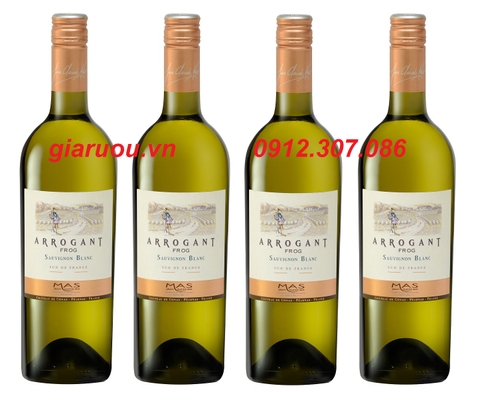 VANG PHÁP ARROGANT FROG MAS SAUVIGNON BLANC GIÁ RẺ NHẤT VANG PHÁP ARROGANT FROG MAS SAUVIGNON BLANC GIÁ RẺ NHẤT