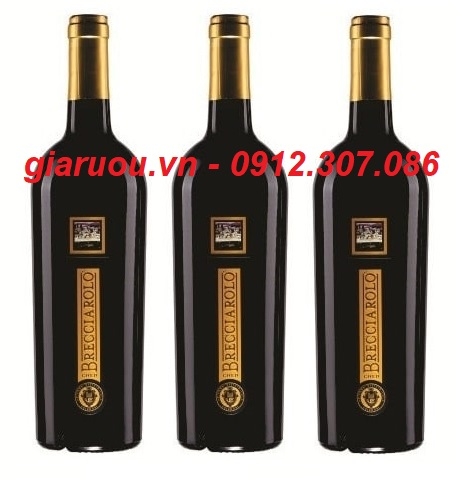 NƠI BÁN RƯỢU VANG Ý BRECCIAROLO GOLD GIÁ RẺ NHẤT - GIARUOU.VN NƠI BÁN RƯỢU VANG Ý BRECCIAROLO GOLD GIÁ RẺ NHẤT - GIARUOU.VN