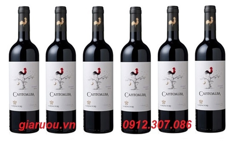 ĐỊA CHỈ BÁN VANG CHILE CANTOALBA MALBEC GIÁ CỰC RẺ TẠI HÀ NỘI ĐỊA CHỈ BÁN VANG CHILE CANTOALBA MALBEC GIÁ CỰC RẺ TẠI HÀ NỘI