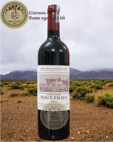 TOP 3 CHAI RƯỢU VANG PHÁP GRAND CRU GIÁ RẺ UỐNG QUÁ NGON TOP 3 CHAI RƯỢU VANG PHÁP GRAND CRU GIÁ RẺ UỐNG QUÁ NGON