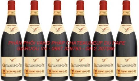 NHÀ PHÂN PHỐI VANG PHÁP CHATEAUNEUF DU PAPE VIDAL FLEURY GIÁ CỰC RẺ NHÀ PHÂN PHỐI VANG PHÁP CHATEAUNEUF DU PAPE VIDAL FLEURY GIÁ CỰC RẺ