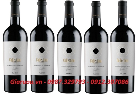BÁN RƯỢU VANG Ý COLLECTION GIÁ RẺ NHẤT THỊ TRƯỜNG BÁN RƯỢU VANG Ý COLLECTION GIÁ RẺ NHẤT THỊ TRƯỜNG