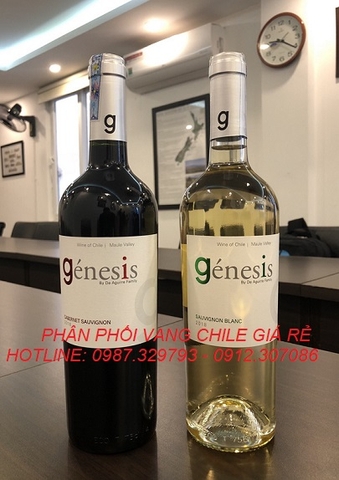 PHÂN PHỐI RƯỢU VANG CHILE GIÁ RẺ NHẤT PHÂN PHỐI RƯỢU VANG CHILE GIÁ RẺ NHẤT