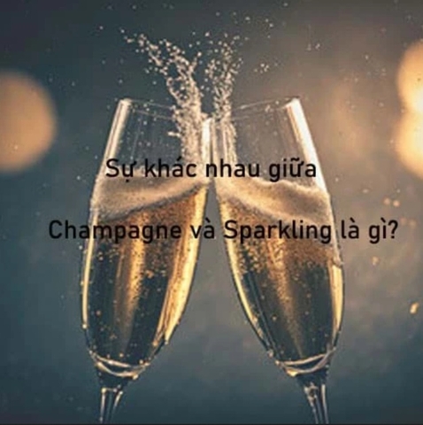 Giữa Champagne và Sparkling có gì khác nhau? Giữa Champagne và Sparkling có gì khác nhau?