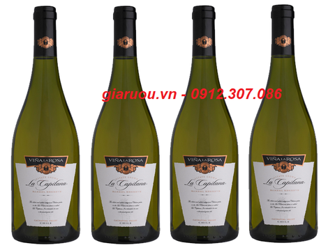 TỔNG ĐẠI LÝ VANG CHILE LA CAPITANA CHARDONNAY GIÁ TỐT