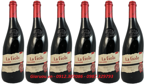 VANG PHÁP LA FIOLE BÁN GIÁ RẺ NHẤT VANG PHÁP LA FIOLE BÁN GIÁ RẺ NHẤT