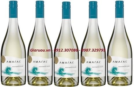 PHÂN PHỐI VANG CHILE MONTGRAS AMARAL SAUVIGNON BLANC PHÂN PHỐI VANG CHILE MONTGRAS AMARAL SAUVIGNON BLANC