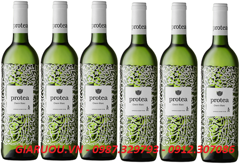 PHÂN PHỐI VANG NAM PHI PROTEA CHENIN BLANC GIÁ TỐT NHẤT PHÂN PHỐI VANG NAM PHI PROTEA CHENIN BLANC GIÁ TỐT NHẤT