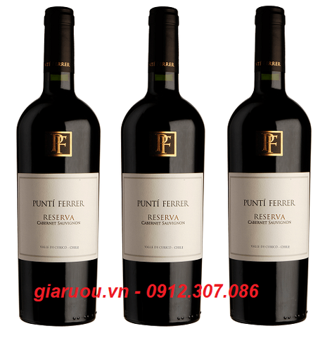 VANG CHILE PUNTI FERRER RESERVA CABERNET SAUVIGNON DÀNH CHO TIỆC CƯỚI VANG CHILE PUNTI FERRER RESERVA CABERNET SAUVIGNON DÀNH CHO TIỆC CƯỚI