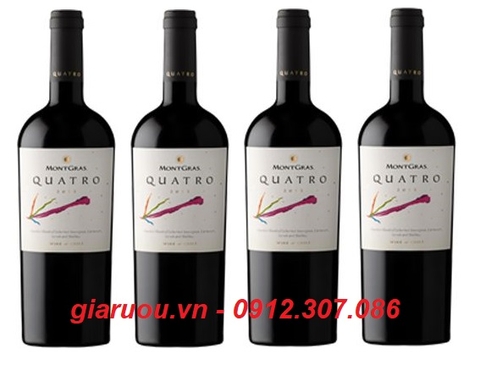 CHUYÊN PHÂN PHỐI, BÁN BUÔN VANG CHILE MONTGRAS QUATRO GIÁ RẺ NHẤT CHUYÊN PHÂN PHỐI, BÁN BUÔN VANG CHILE MONTGRAS QUATRO GIÁ RẺ NHẤT