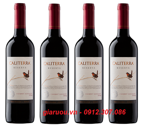 VANG CHILE CALITERRA RESERVA CABERNET SAUVIGNON UỐNG NGON GIÁ CỰC TỐT VANG CHILE CALITERRA RESERVA CABERNET SAUVIGNON UỐNG NGON GIÁ CỰC TỐT