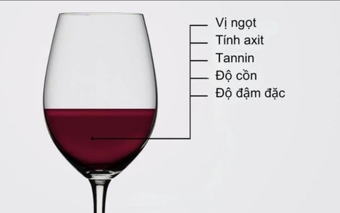 Tìm hiểu 5 đặc điểm có trong rượu vang Tìm hiểu 5 đặc điểm có trong rượu vang