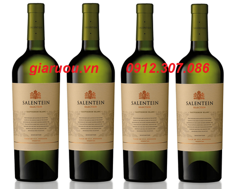 CUNG CẤP VANG ARGENTINA SALENTEIN BARREL SELECTION SAUVIGNON BLANC CUNG CẤP VANG ARGENTINA SALENTEIN BARREL SELECTION SAUVIGNON BLANC