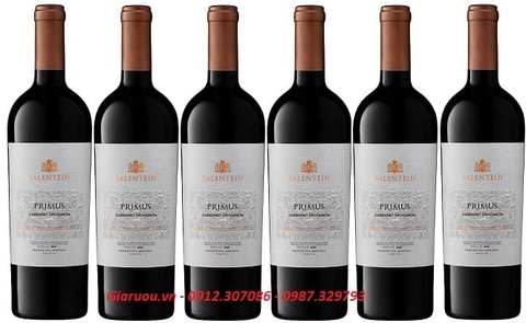 BÁN VANG ARGENTINA SALENTEIN PRIMUS CABERNET SAUVIGNON GIÁ RẺ NHẤT